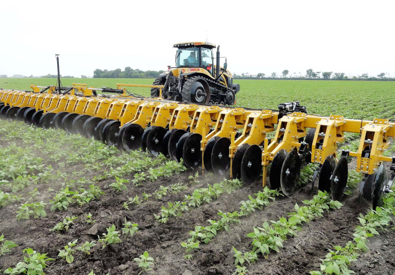 The Cultivator From The Future Alloway Row Crop Cultivators | Alloway