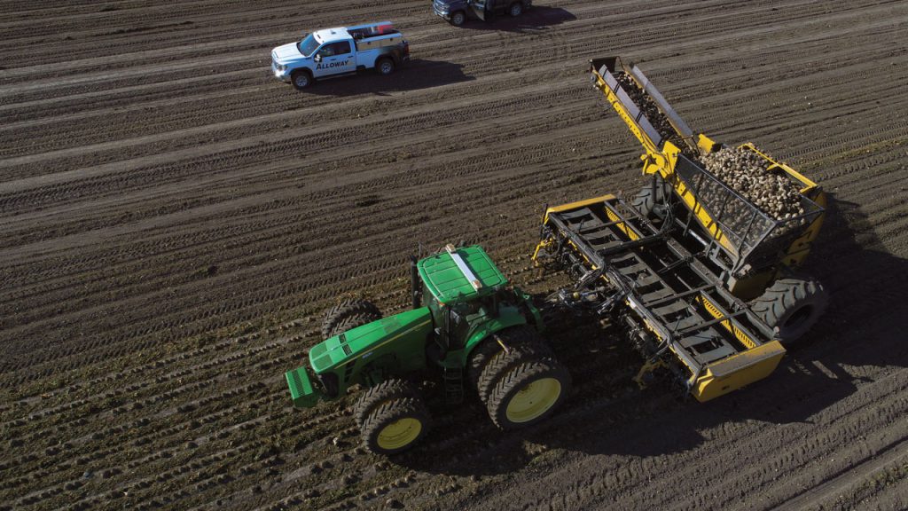Alloway Sugarbeet Harvester HV-12R22