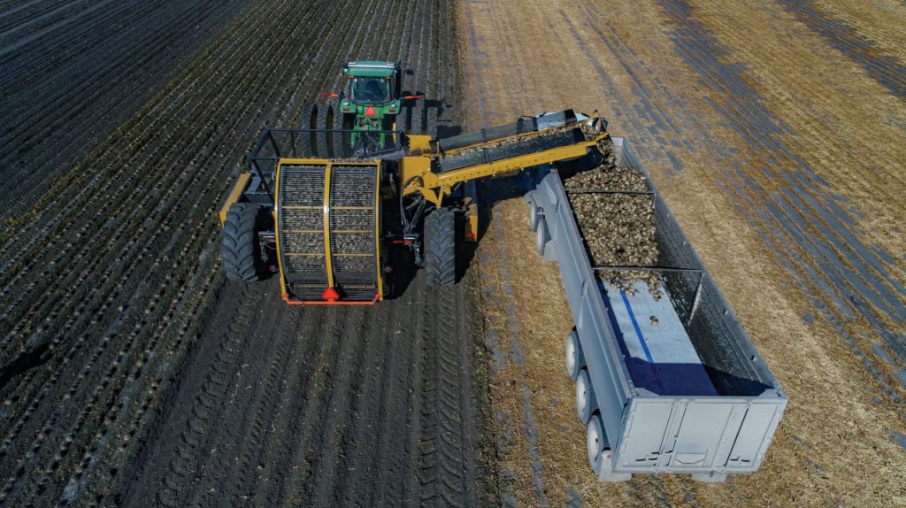 Alloway Sugarbeet Harvester HV-12R22 in the field