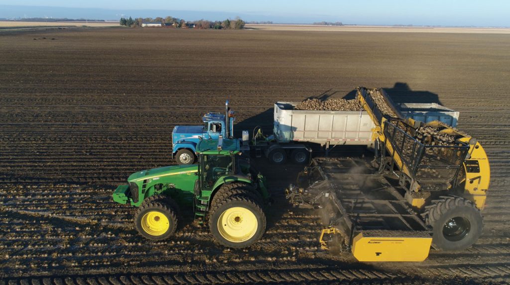 Alloway Sugarbeet Harvester HV-12R22 harvesting